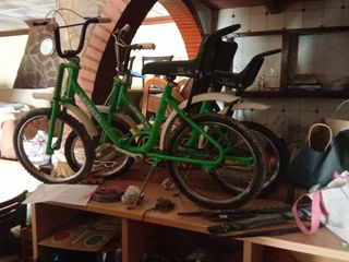Bicicleta Motoretta Infantil Verde