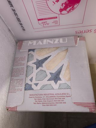Azulejos Mainzu Carino Deco Marla 20x20