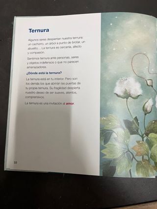 Emocionario - Libro sobre las emociones
