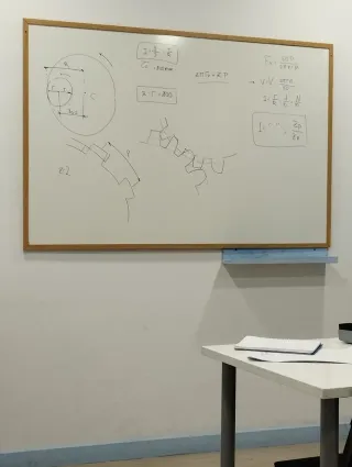 Profesor particular de ESO y Bachillerato