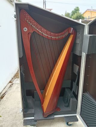 Arpa celta Salvi Livia 36 cuerdas