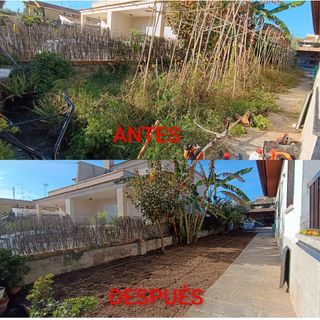 Jardín: Antes & Después