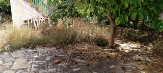 JARDINERO 