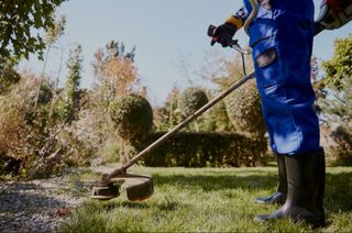 Manitas y jardinería