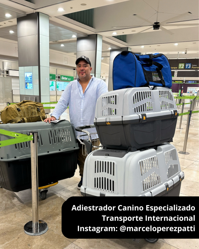 Adiestrador Canino: Transporte Internacional