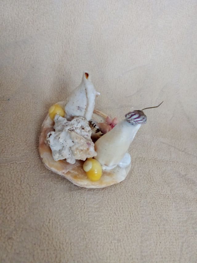 Presépio Miniatura Conchas Artesanal