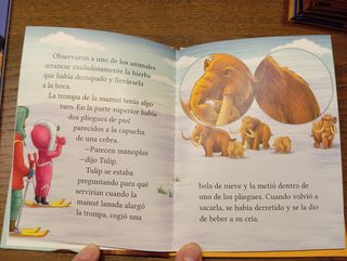 Lote 17 libros infantiles de McDonald