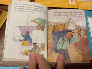 Lote 17 libros infantiles de McDonald