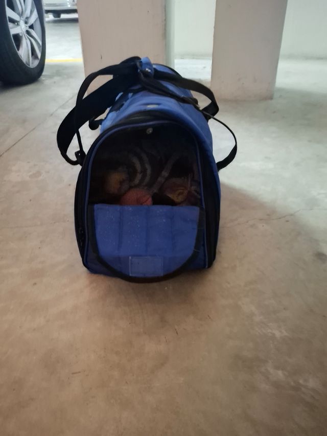 Transportín mascotas Soft Carry