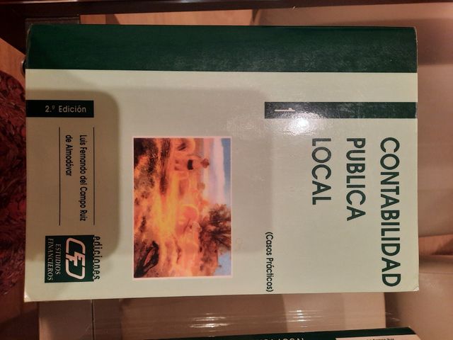 Contabilidad publica local. Casos prácticos 2004