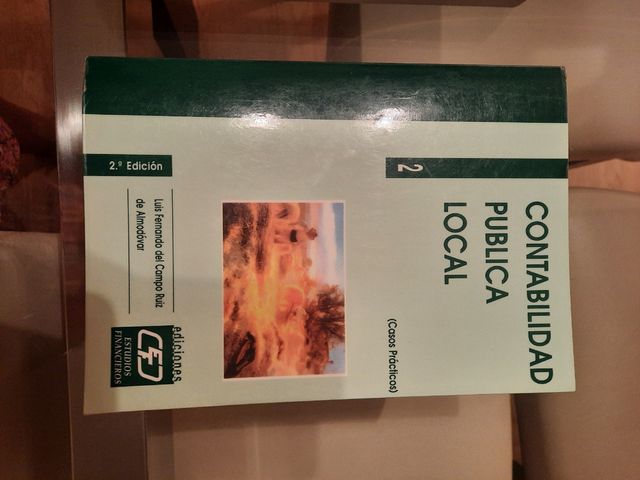 Contabilidad publica local. Casos prácticos 2004