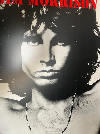 Cuadro Jim Morrison - Blanco y Negro