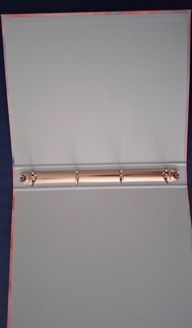 Novo armário de arquivo de 4 argolas - multicolor