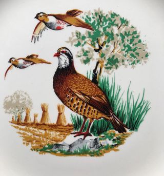 vintage plato porcelana con aves “Porzelanit”