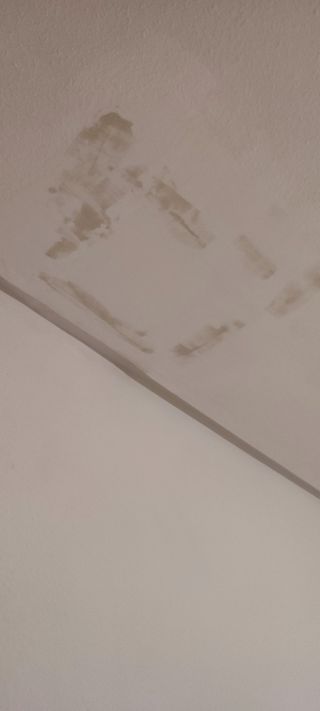 #Pintor de casas peón cuidador de adultos mayores