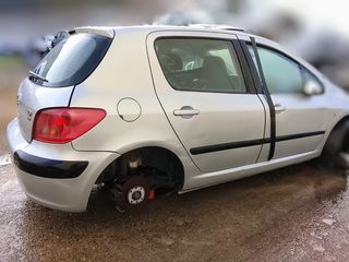 Peugeot 307 Recambios 