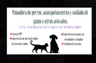 Paseadora de perros y cuidadora de gatos