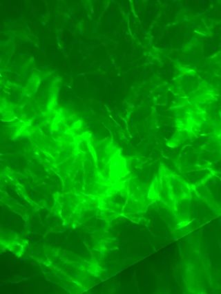 Luz proyector huevo dinosaurio