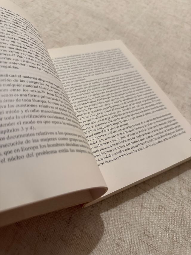 La Caza de Brujas En Europa (Spanish Edition)