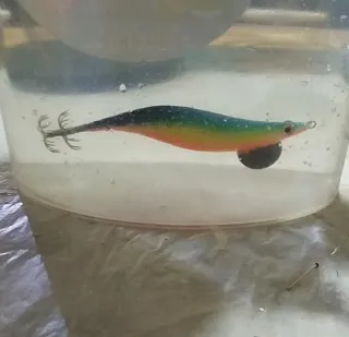 Poteras artesanas para Chipi y calamar