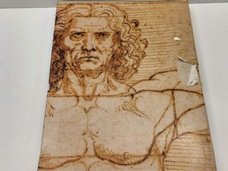 otras colecciones skel-art leonardo 500