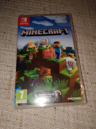 Minecraft Nintendo Switch