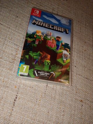 Minecraft Nintendo Switch