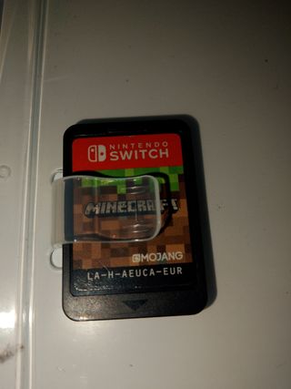Minecraft Nintendo Switch