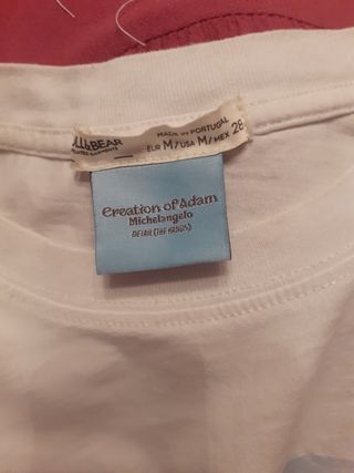 Camiseta Pull&Bear Michelangelo M