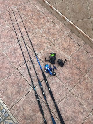 Cañas y carretes spinning/jiging