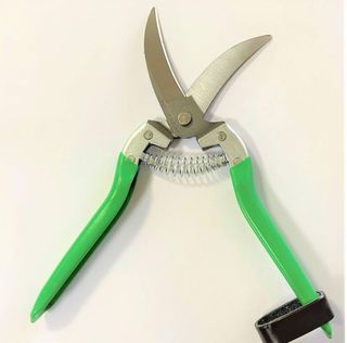 Tijeras de ajos López Isidra F-151