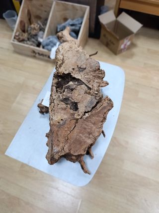 Raíz decorativa acuario