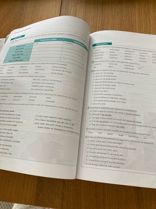 Lingua Galega e Literatura 1 Bachillerato 