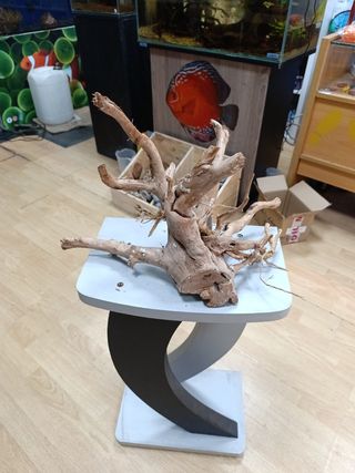 Raíz Madera Acuario