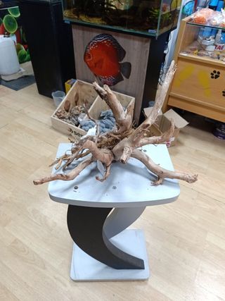 Raíz Madera Acuario