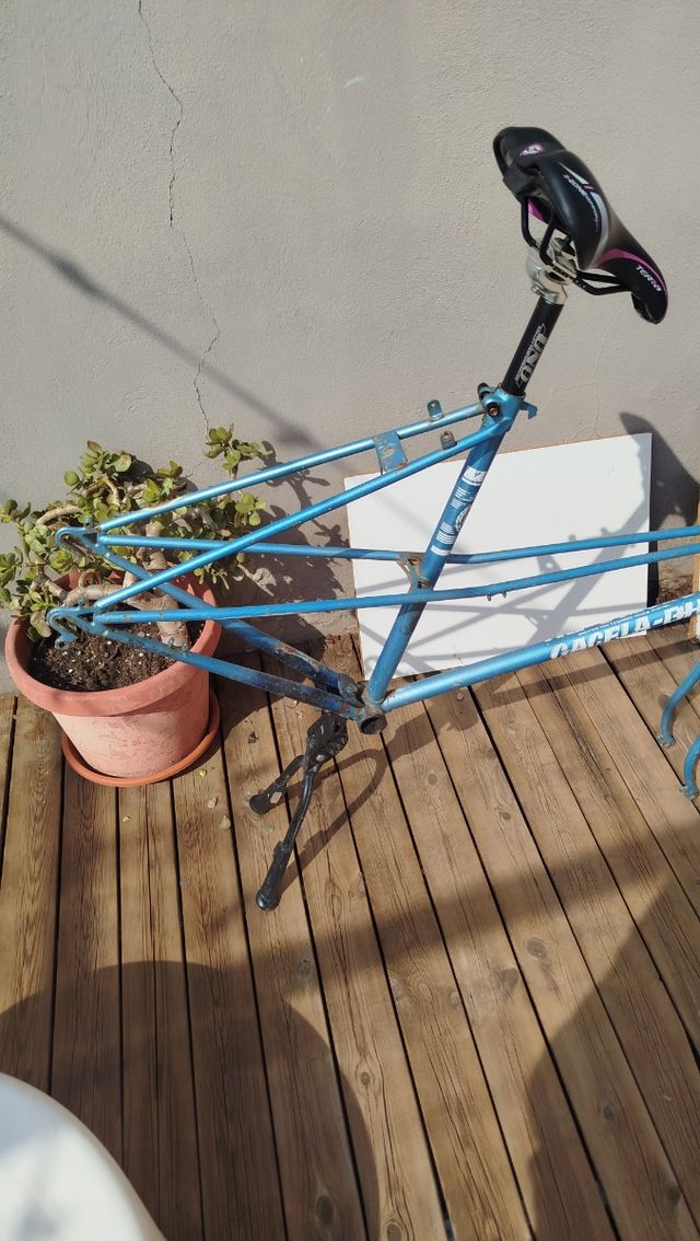 Bicicleta BH Gacela cuadro