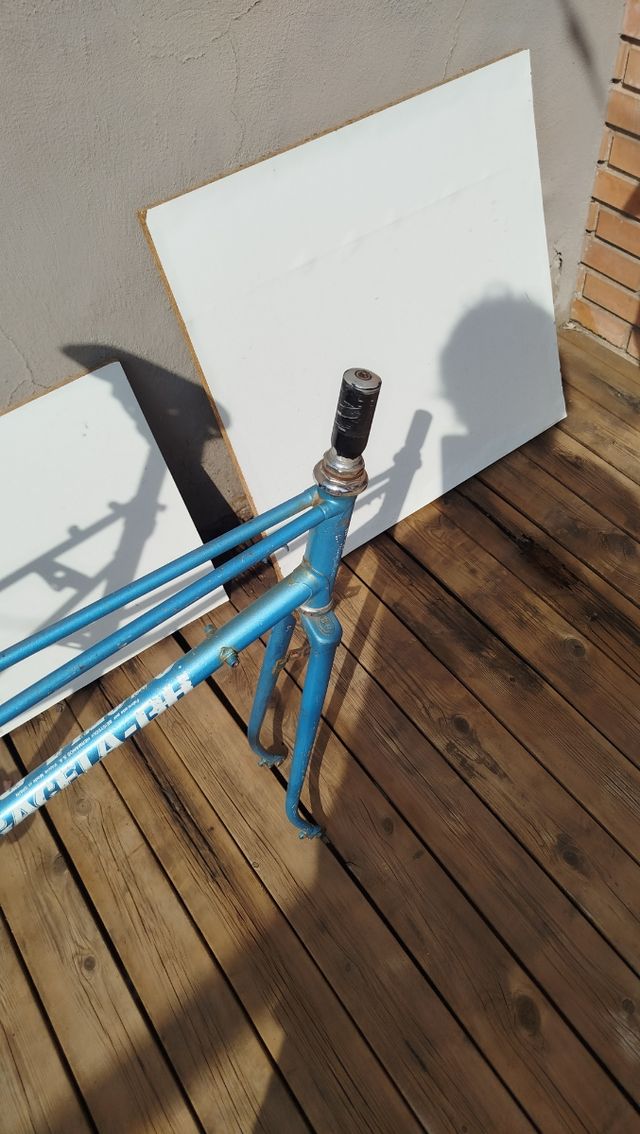 Bicicleta BH Gacela cuadro