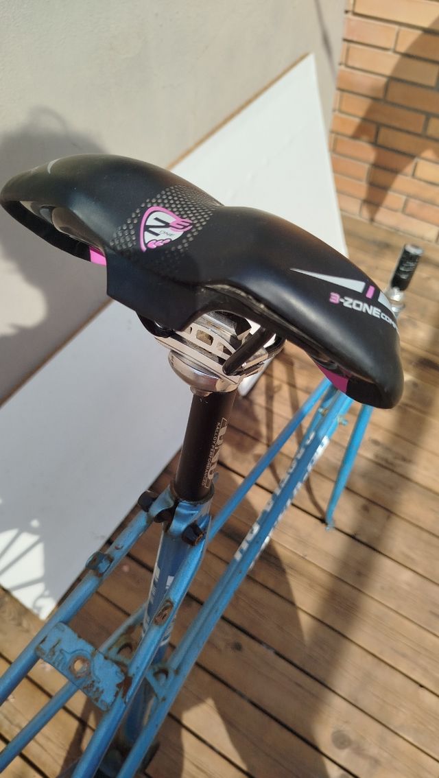 Bicicleta BH Gacela cuadro