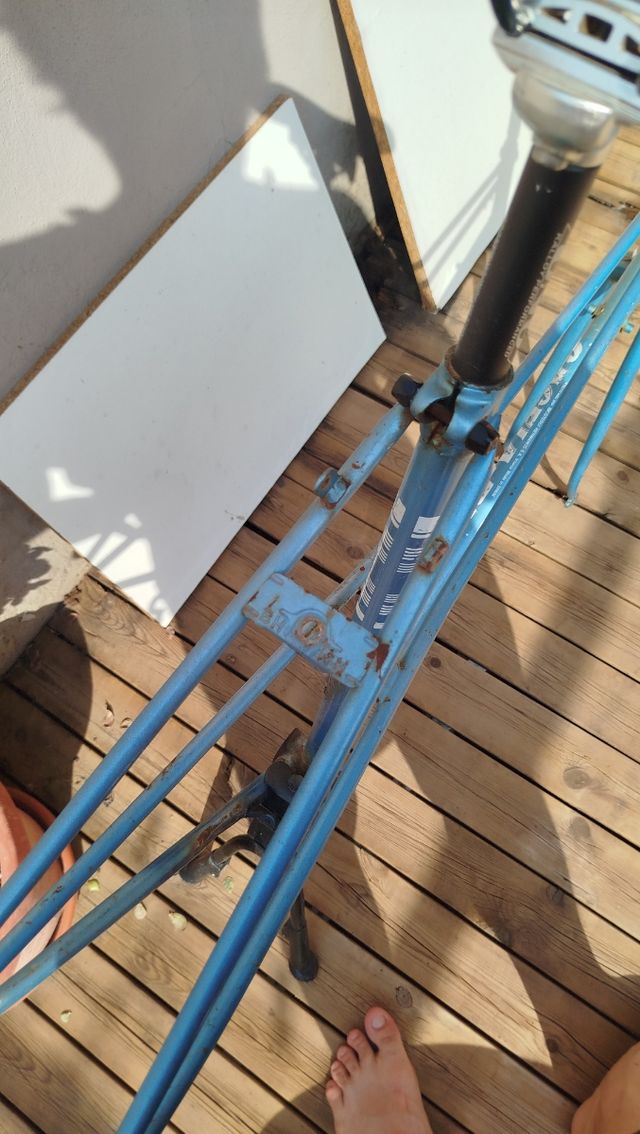 Bicicleta BH Gacela cuadro