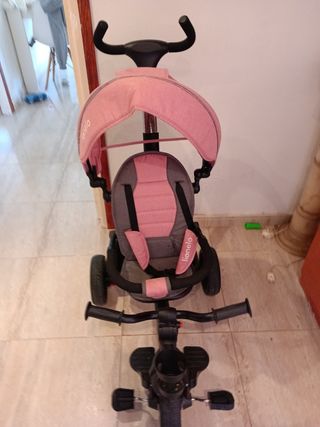 Trici lionelo rosa
