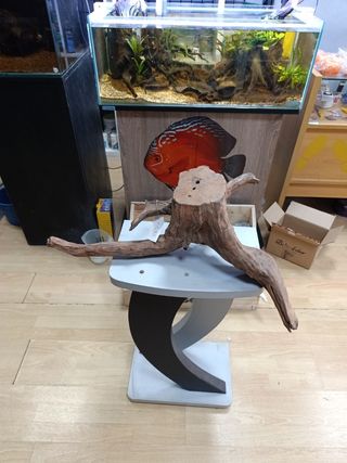 Raíz natural acuario decoración