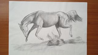 Lote arte ecuestre