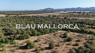 Terreno en venta en Sant Llorenç des Cardassar