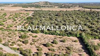 Terreno en venta en Sant Llorenç des Cardassar