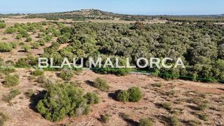 Terreno en venta en Sant Llorenç des Cardassar