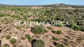 Terreno en venta en Sant Llorenç des Cardassar