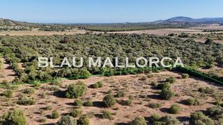 Terreno en venta en Sant Llorenç des Cardassar