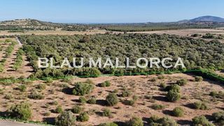 Terreno en venta en Sant Llorenç des Cardassar