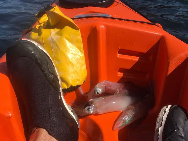 Kayak piragua RK500. Naranja .