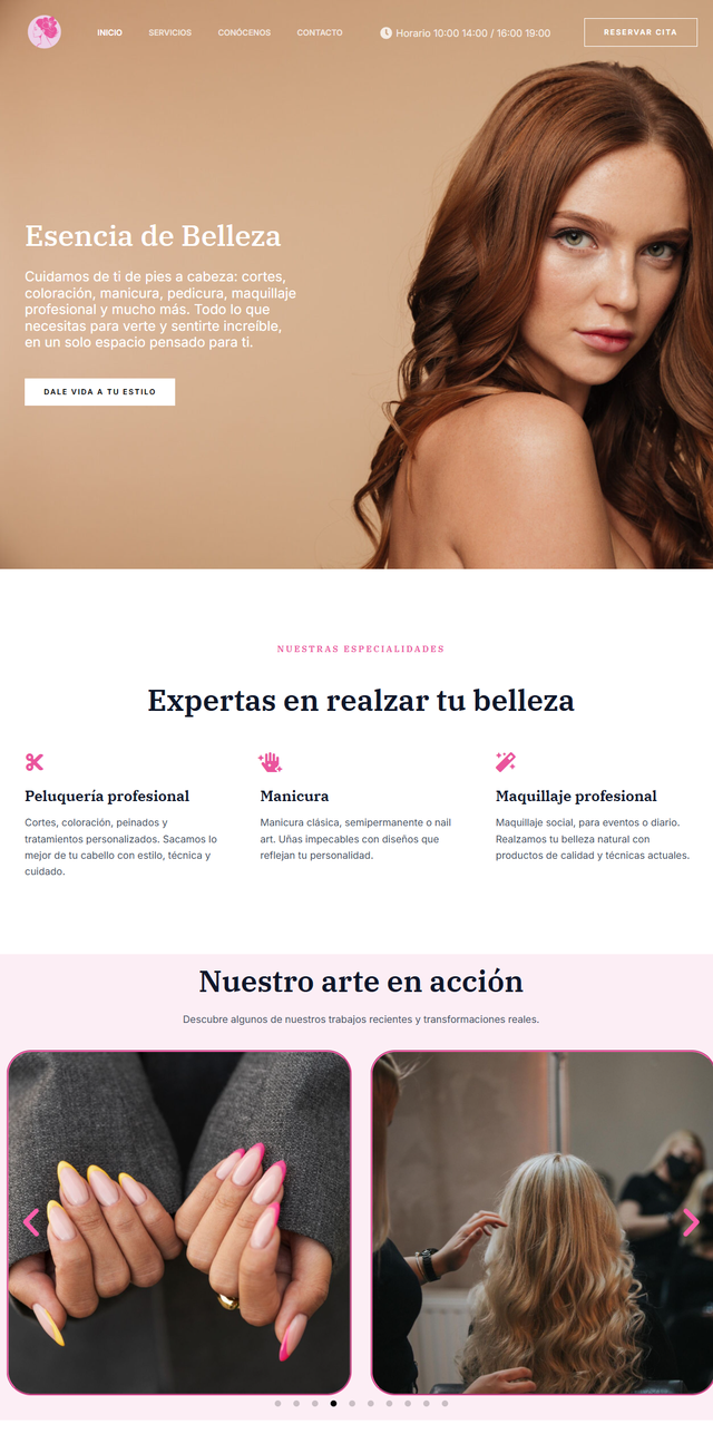 Diseño Web Profesional